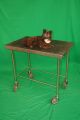 vets veterinary taxidermy examination table
