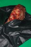 Bloody Severed Head
