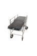 Body Trolley