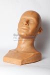 Model of male head