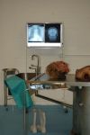 Mortuary Film Set