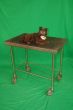 Veterinary Examination Table with Stuffed Dog