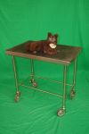Veterinary Examination Table with Stuffed Dog