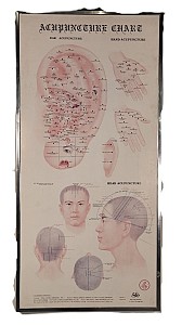 Acupuncture Chart 