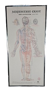 Acupuncture Chart Back View