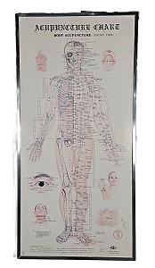 Acupuncture Chart Front View