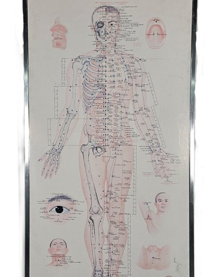 Acupuncture Chart Front View