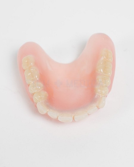 Pair Of Dentures 