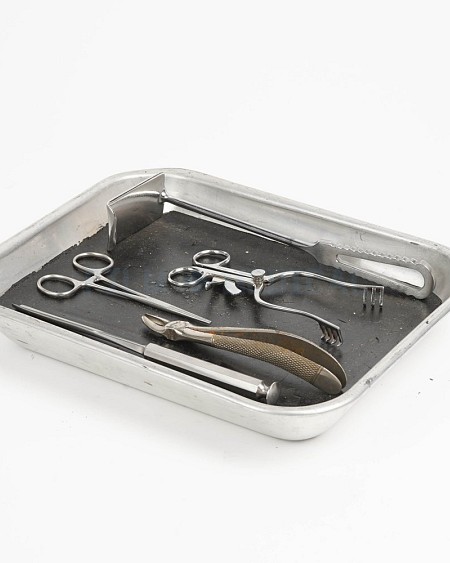 Dissection Tray 