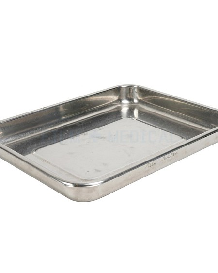 Large Stainless Steel Tray 