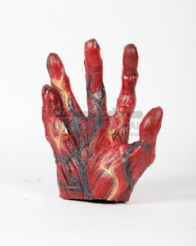 Flayed model of human hand