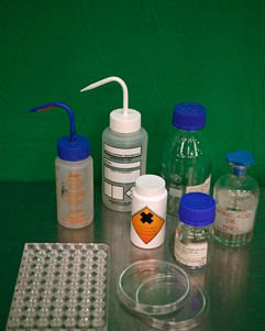 Sample Tray, Petri Dishes and Bottles
