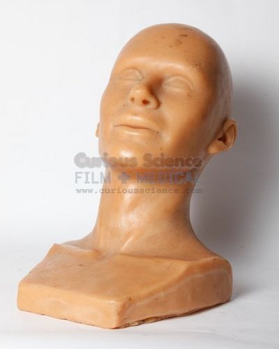 Model of male head