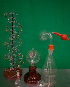 DNA Model and Edison Bulb