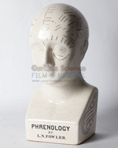 Phrenology model of head