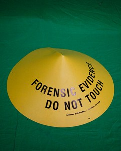 Forensic Evidence Cone
