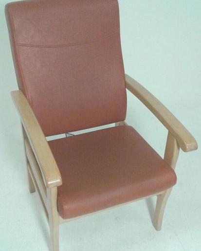 Visitors Low Back Chair