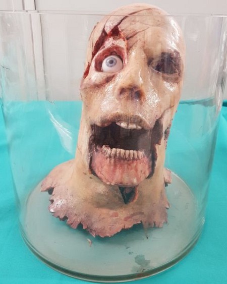 Severed Synthetic Head in a jar