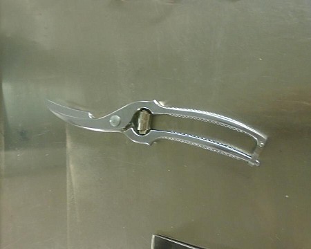 surgical snips