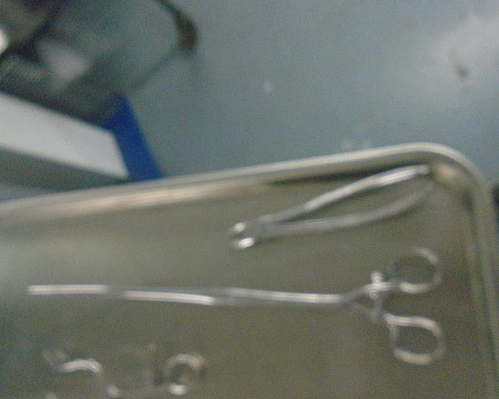 Large forcep