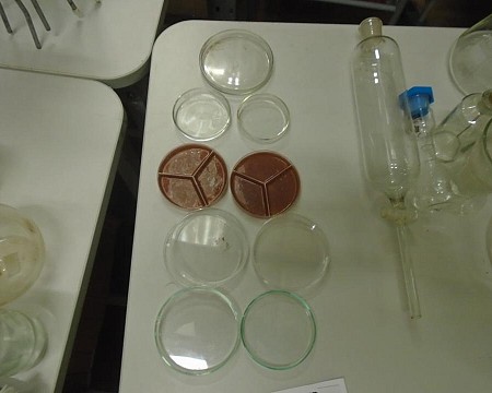 Petri Dish Various