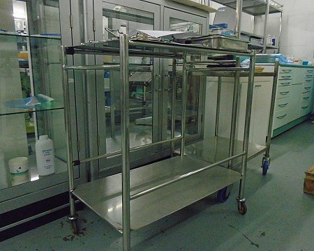 S/S Two Tier Trolley
