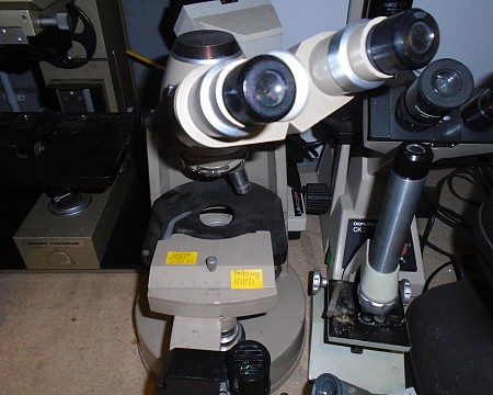 Microscope large