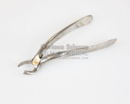 Dental Forceps