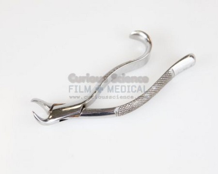 Dental Forceps