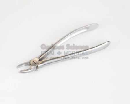 Dental Forceps