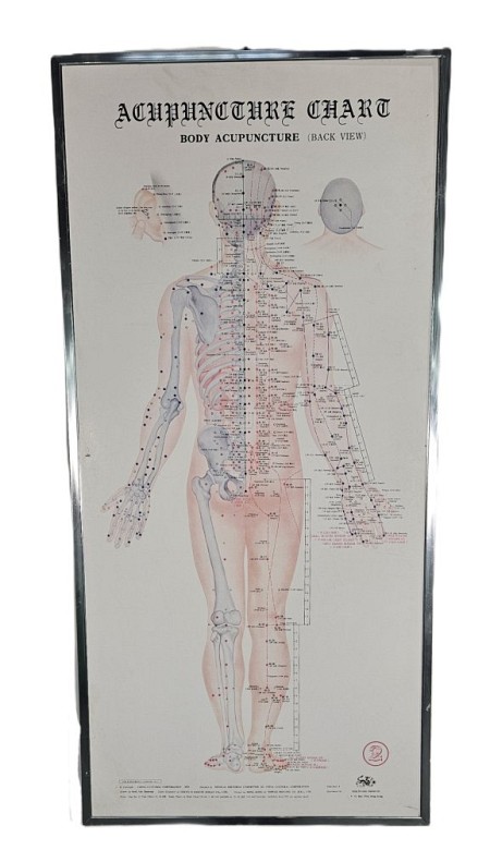 Acupuncture Chart Back View