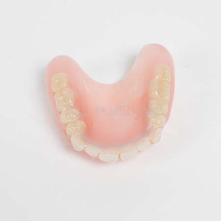 Pair Of Dentures 