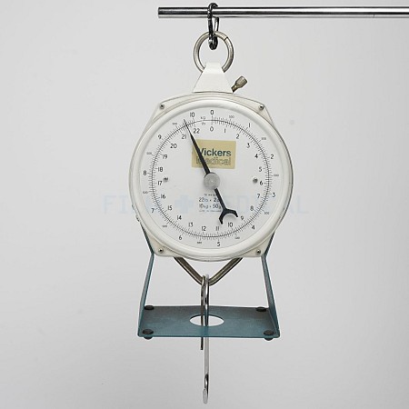 Hanging Weighing Scale