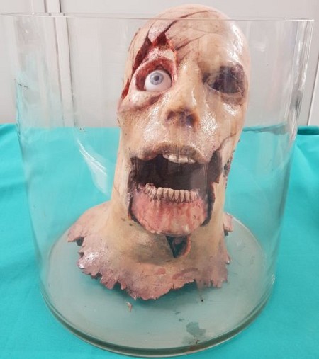 Severed Synthetic Head in a jar