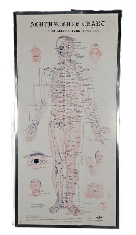 Acupuncture Chart Front View